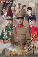 少帅电视剧免费观看全集直播-在线观看