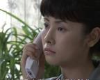 《湖光山色》免费电视剧1080P高清完整版在线观看