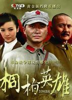 今日更新《桐柏英雄》多线路播放国语版