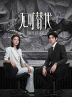 无可替代的电视剧免费第1集特别版