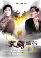 《孝顺媳妇》免费观看全集云播放超清