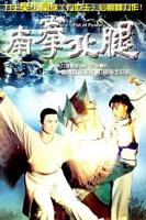 《南拳北腿》免费电视剧4K高清完整版在线观看